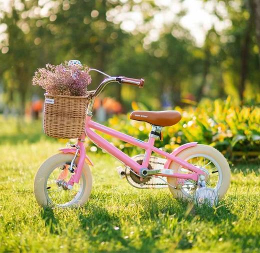 (包邮)Montresor萌兽儿童自行车B2快拆版/经典版微风系列 （五种颜色 ） 商品图0