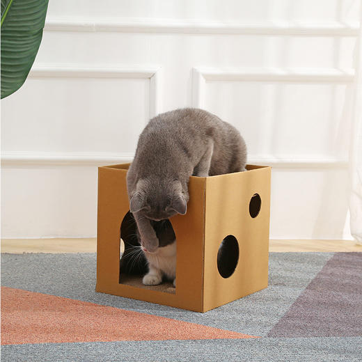 【宠物用品】-猫屋宠物屋瓦楞纸宠物流浪猫猫窝 商品图0