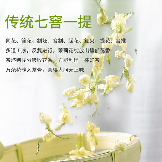 2025新茶特尊茶茉莉花茶四川高山精品嫩芽100g*2罐 商品图2