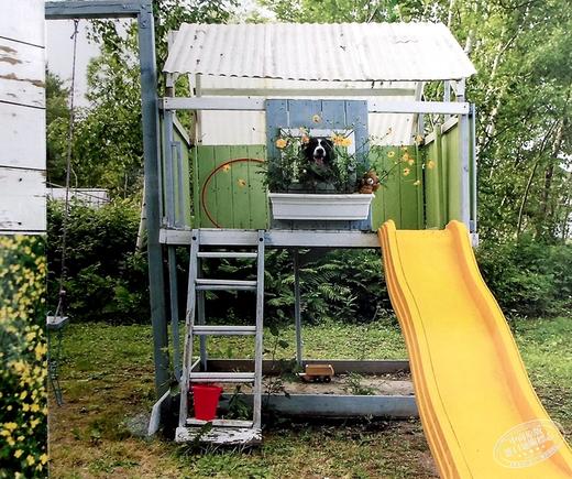 预售 【中商原版】Lets Find Momo寻找莫莫1 让我们找到Momo 英文原版纸板书 A Hide-And-Seek Board Book 狗狗找找书 捉迷藏的书 商品图5