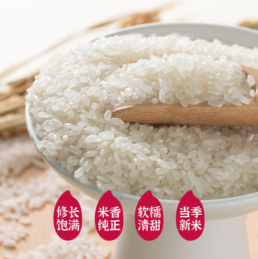 【惠州外运】隆平芯米 五常基地 五常香米2.5kg/5kg 商品图1
