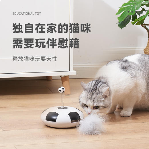 【宠物用品】-转盘发声羽毛自动逗猫宠物电动足球 商品图2