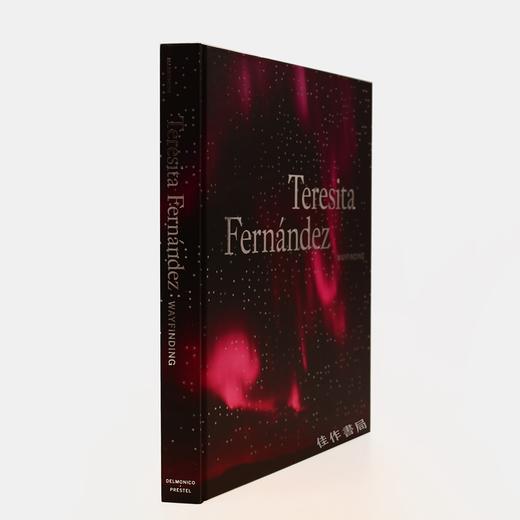 Teresita Fernandez: Wayfinding / 特雷西塔·费尔南德斯：寻路 / 装置艺术 商品图1