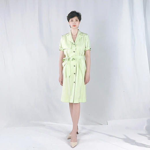 圣三利女装新春秋季中长款连衣裙SL121L20 商品图1