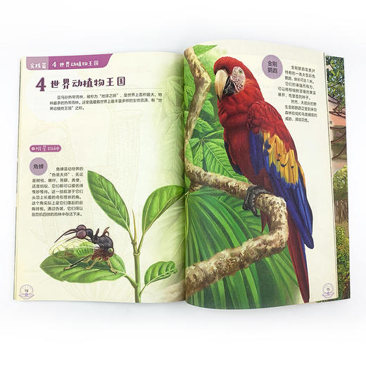 《科学家带你玩转大自然（全2册））》 商品图11