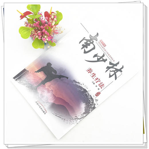 南少林养生疗法 李楠 著 中国中医药出版社 南少林骨伤流派传承工作室系列丛书中医骨伤科学少林寺养生疗法书籍 商品图3