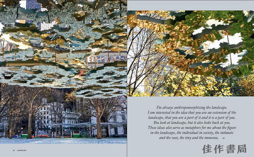 Teresita Fernandez: Wayfinding / 特雷西塔·费尔南德斯：寻路 / 装置艺术 商品图2