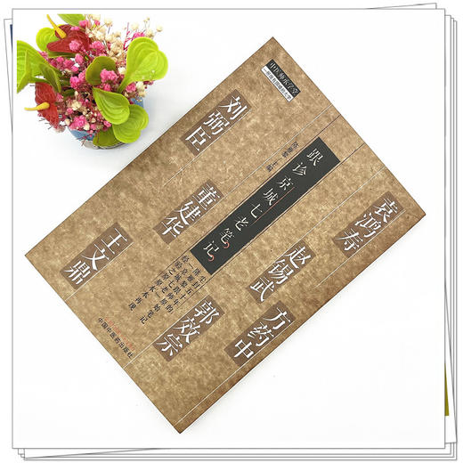 跟诊京城七老笔记 陈雁黎 主编 中国中医药出版社 中医师承学堂 中医临床 书籍 商品图2