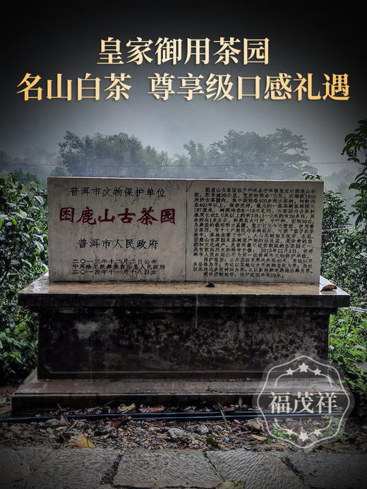 【贡品银针】云南特级白茶 白毫银针 全芽头白茶 2023年云南白茶普洱茶区困鹿山皇家御用茶园古300尊享级口感200g罐装 【2罐配1个手提袋】 商品图1