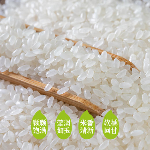 隆平芯米(清香小长粒) 2.5kg/5kg 碱地蟹田米 商品图3