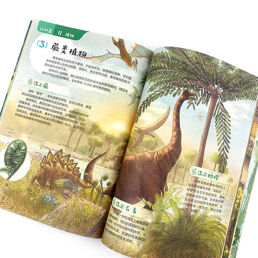 《科学家带你玩转大自然（全2册））》 商品图9