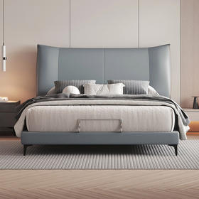 喜梦宝成人软床硅胶皮床双人床