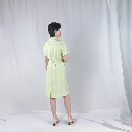 圣三利女装新春秋季中长款连衣裙SL121L20 商品图4