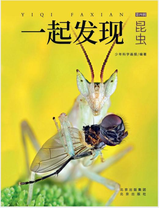2023年《一起发现》过刊优惠随机3本 商品图2