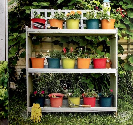 预售 【中商原版】Lets Find Momo寻找莫莫1 让我们找到Momo 英文原版纸板书 A Hide-And-Seek Board Book 狗狗找找书 捉迷藏的书 商品图7