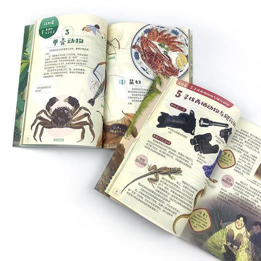 《科学家带你玩转大自然（全2册））》 商品图6
