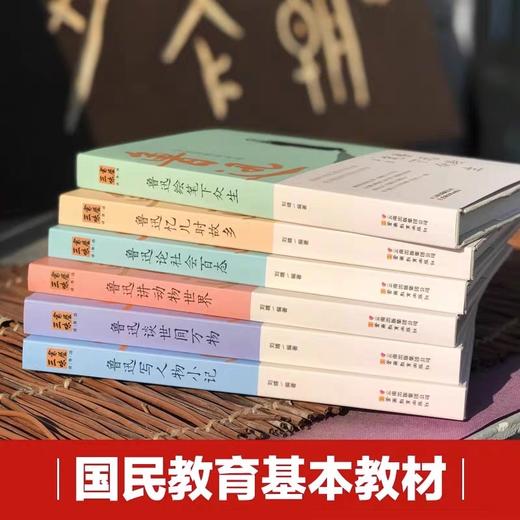 鲁迅全集6册 JST鲁迅小说狂人日记 从百草园到三味书屋 朝花夕拾呐喊 鲁迅杂文集的经典书籍藤野先生孔乙己 故乡书籍人民文学小说 商品图2