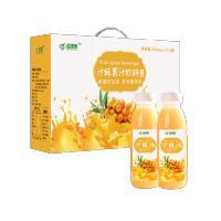 疆果果沙棘果汁300ml*10 商品图0