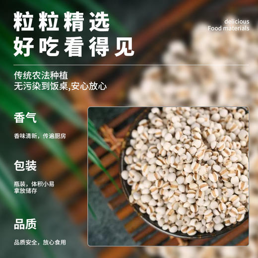 【宁夏中卫 薏米】 500g*3袋装  粒粒精选，品质看得见 商品图3