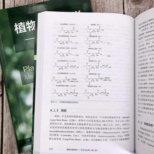 植物代谢组学：方法与应用 商品图8
