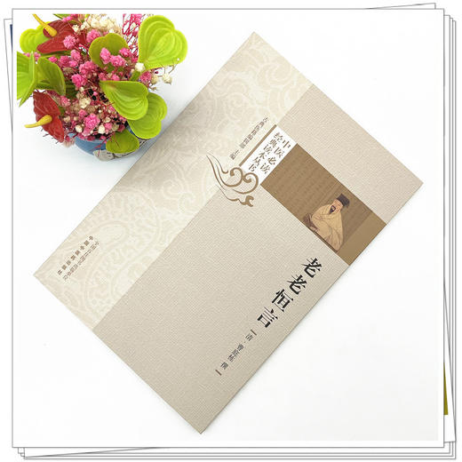 老老恒言 (清) 曹庭栋撰 中医必读经典读本丛书 中国中医药出版社 中医书籍 商品图2