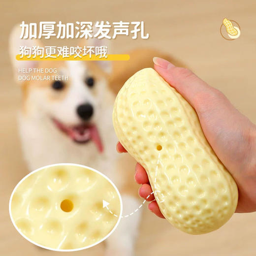 狗狗玩具 发声花生盒装 互动自嗨解闷磨牙 耐磨耐咬材质安全 宠物玩具 商品图2