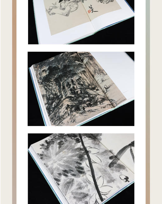 清画全集 第九卷 全五册 八大山人 商品图4