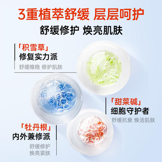 斐思妮红膜 商品图3