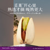 觅果A+大美国开心果原色无漂白大坚果零食坚果特产1kg年货大颗粒 商品缩略图4