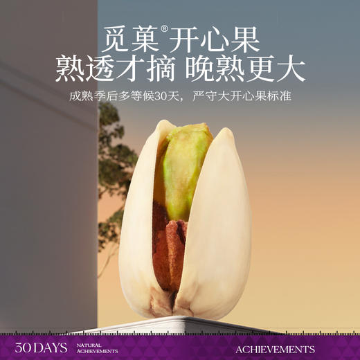 觅果A+大美国开心果原色无漂白大坚果零食坚果特产1kg年货大颗粒 商品图4