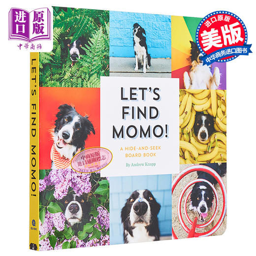 预售 【中商原版】Lets Find Momo寻找莫莫1 让我们找到Momo 英文原版纸板书 A Hide-And-Seek Board Book 狗狗找找书 捉迷藏的书 商品图0