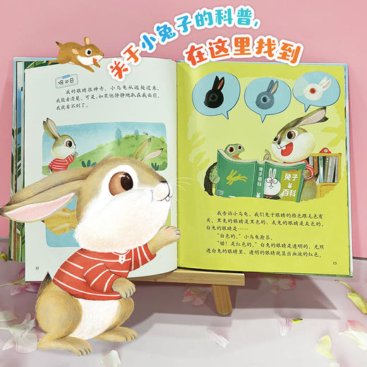 我的日记系列  小兔子的日记  适读年龄3-6岁 商品图4