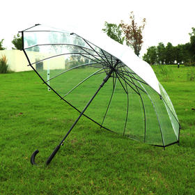 「16骨自动！小清新透明伞」小清新透明伞简约白色16骨长柄伞 弯柄直杆雨伞男女学生居家日用