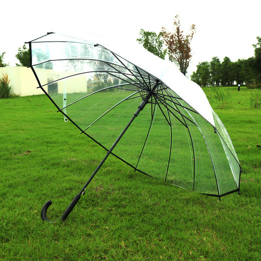 「16骨自动！小清新透明伞」小清新透明伞简约白色16骨长柄伞 弯柄直杆雨伞男女学生居家日用 商品图0