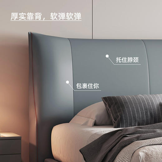 喜梦宝成人软床硅胶皮床双人床 商品图2