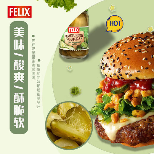 菲力斯酸黄瓜700g 商品图2