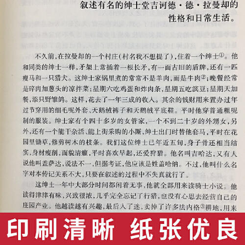 堂吉诃德（精装） 商品图3