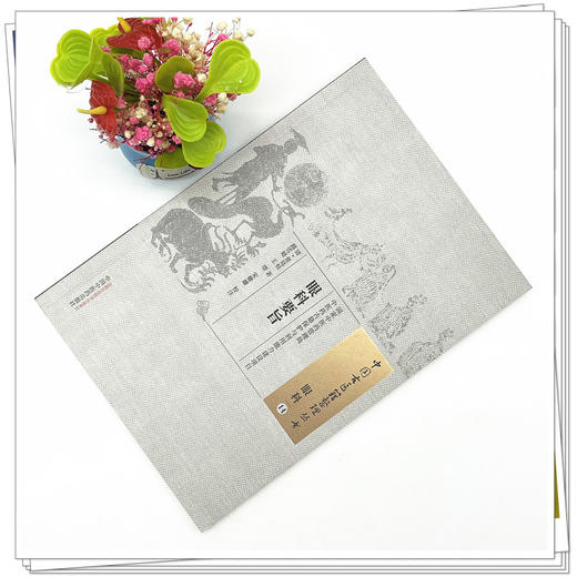 眼科要旨（中国古医籍整理丛书眼科14） 清.张廷桂 著 中国中医药出版社 中医眼科学书籍 商品图2