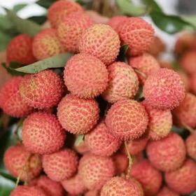  五月红！“顶流”水果即将上市！ 