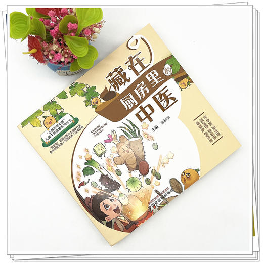 藏在厨房里的中医 曾科学 小葫芦学中医儿童中医启蒙系列 中医药 商品图2