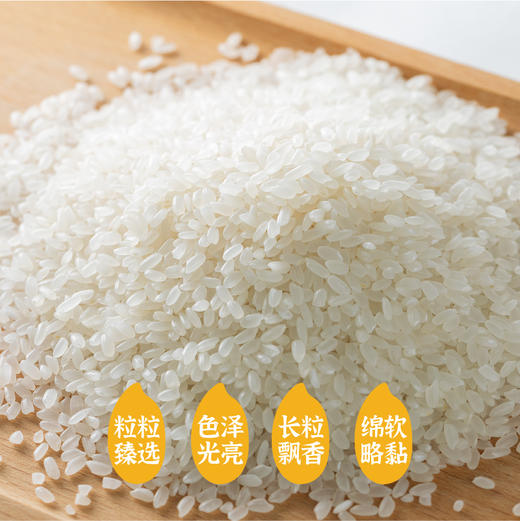 【食堂采购专享】隆平芯米(方正长粒香) 25kg 商品图2
