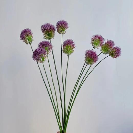 配花-直葱-10支 商品图0
