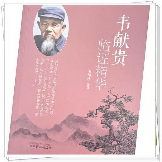 韦献贵临证精华 韦绪性 编著 中国中医药出版社 中医内科学 临床书籍 商品图4