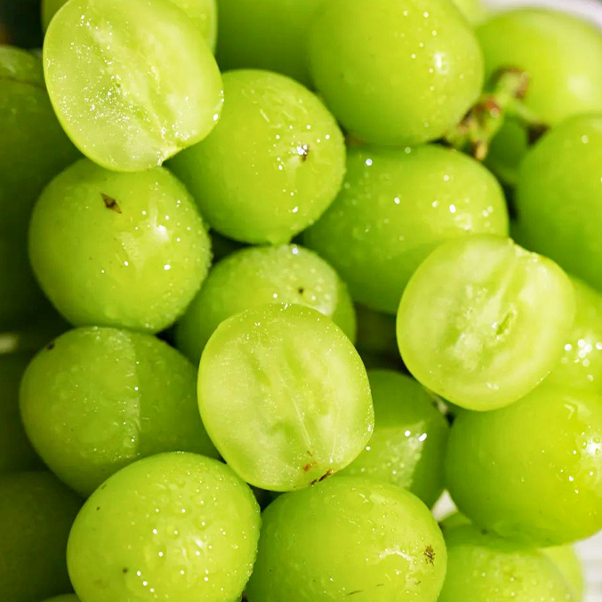 四川晴王阳光玫瑰青提 | 山人优选，【顺丰发货】