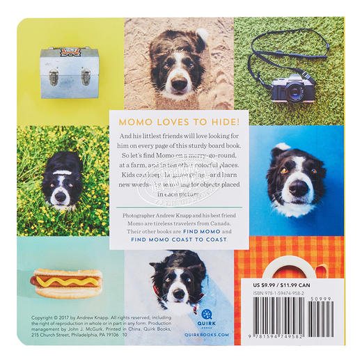 预售 【中商原版】Lets Find Momo寻找莫莫1 让我们找到Momo 英文原版纸板书 A Hide-And-Seek Board Book 狗狗找找书 捉迷藏的书 商品图1