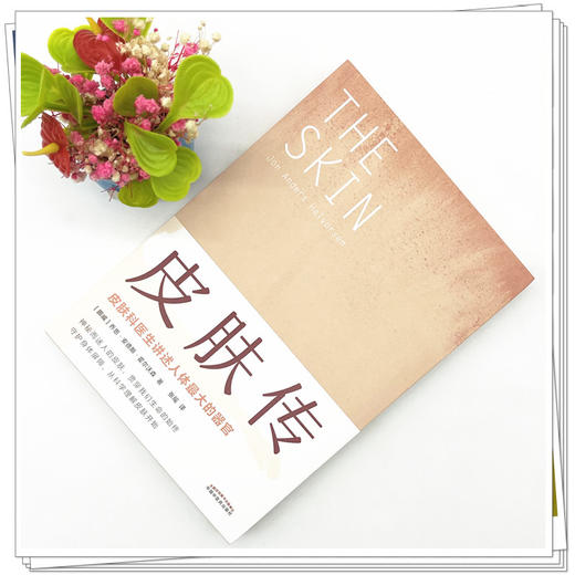 皮肤传 挪威 乔恩 安德斯 霍尔沃森 著 张瑶 译 中国中医药出版社 皮肤科医生讲述人体的器官 书籍 商品图2