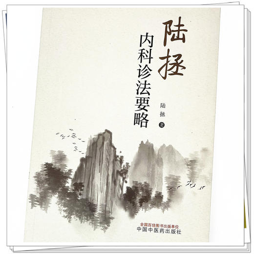 陆拯内科诊法要略 陆拯 著 中国中医药出版社 中医临床书籍 供教学科研中医及爱好者参考 商品图4