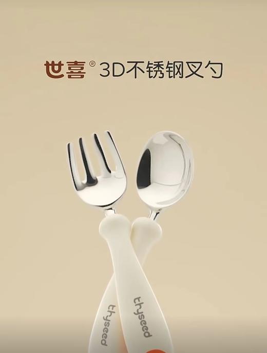 thyseed 世喜不锈钢叉勺 商品图0