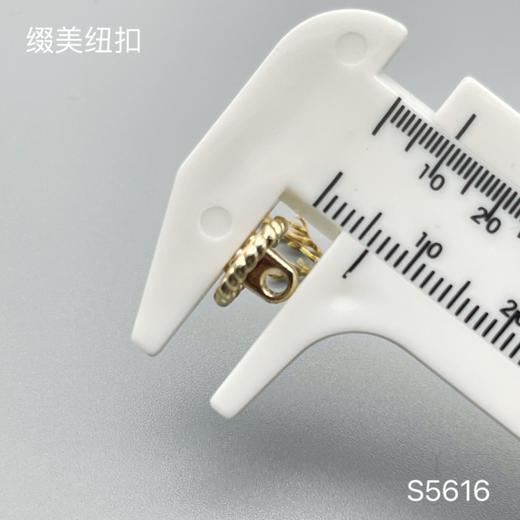 S5616(整包购买) 商品图4