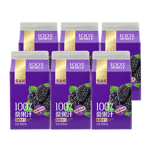 宝桑园桑果汁 468ml*6瓶礼盒装（蛋糕券价） 商品图3